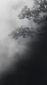 Silhouetted tree canopy dissolves into graded atmospheric fog