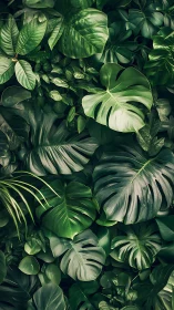 Lush tropical leaves gather in a calm, soothing green embrace