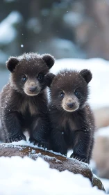 Two curious bear cubs standing on snowy log outdoors.