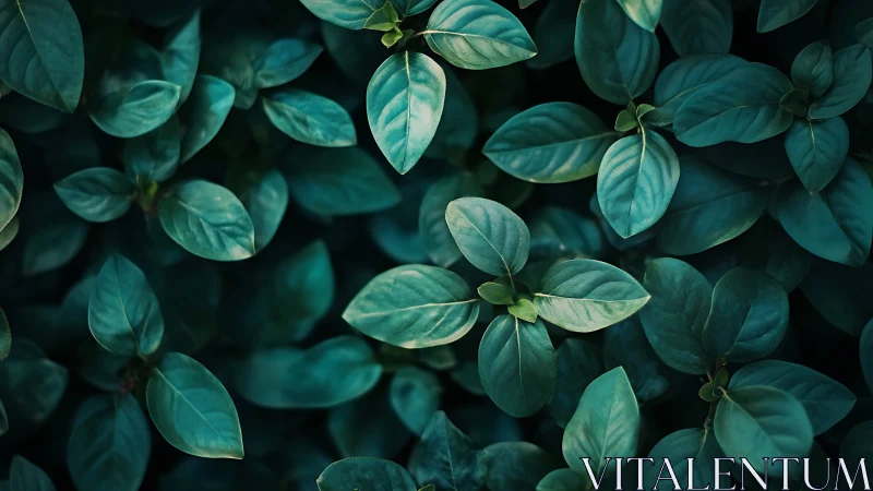 Gentle green leaves spread a calming carpet of quiet growth