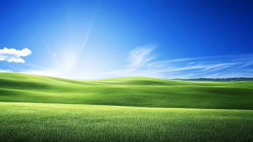 Digital landscape shows green rolling hills under clear sky