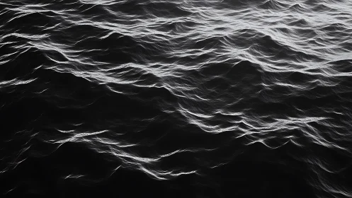 Gentle monochrome waves dancing across a quiet sea.