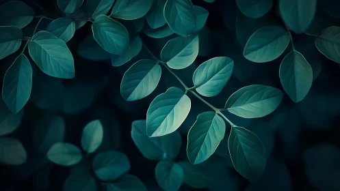 Low-key botanical foliage with cool cyan-green tonal gradation.