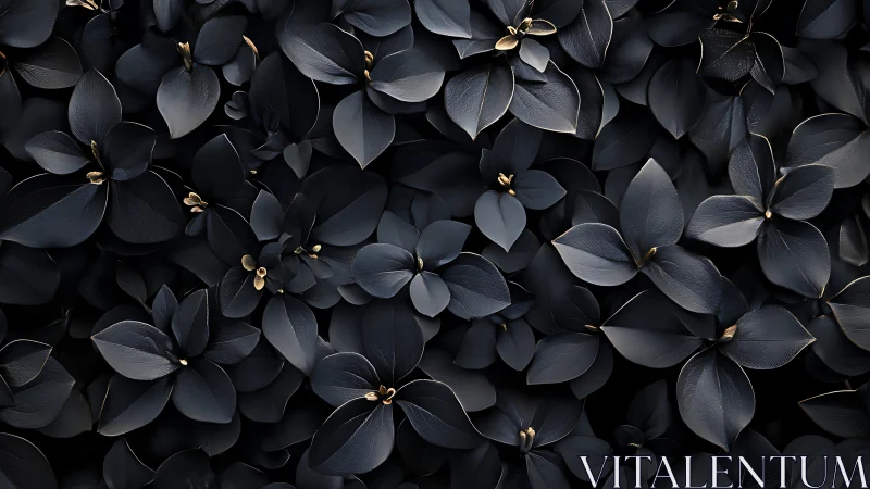 Midnight black petals form dense sculptural floral field