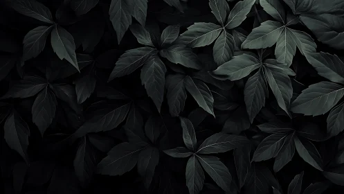 Dark green foliage pattern with overlapping broad leaves.