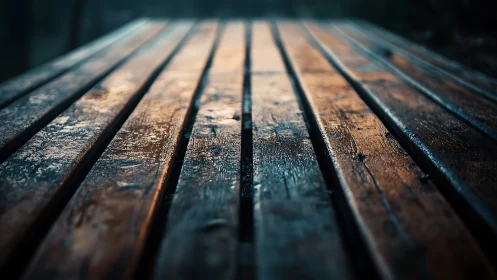 Warm evening light gently glows across a wet wooden table
