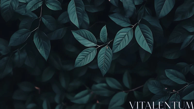 Low-key botanical foliage study with teal elliptic leaves