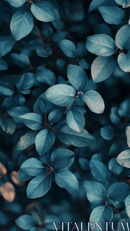 Moonlit teal leaves weave a serene botanical daydream.