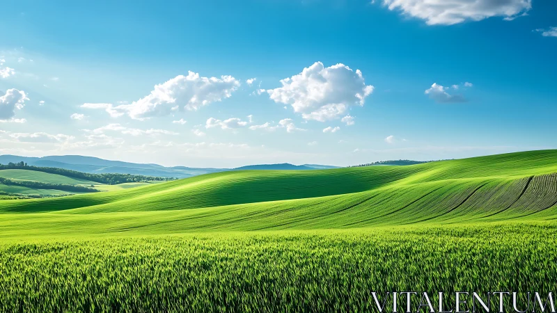 Sunlit green hills roll under deep blue spring sky.