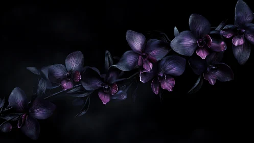 Midnight orchids glowing softly against a velvet night.