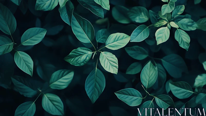 Low-key botanical leaf study with cool-toned foliage pattern.