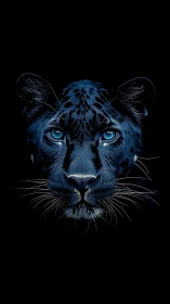 Blue Panther Eyes Sharp. Piercing Gaze Against Black.