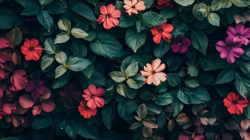 Chromatic Floral Composition: Dense Botanical Array with Warm Pigmentation.