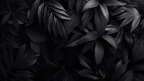 Monochrome tropical foliage pattern in low key lighting.