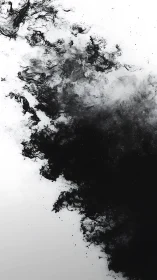 Monochrome ink turbulence dissolving into negative space.