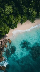 Aerial Drone Composition: Dense Tropical Forest Canopy Meeting Turquoise Lagoon