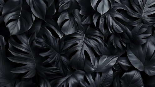 Monstera leaves form dense monochrome botanical surface