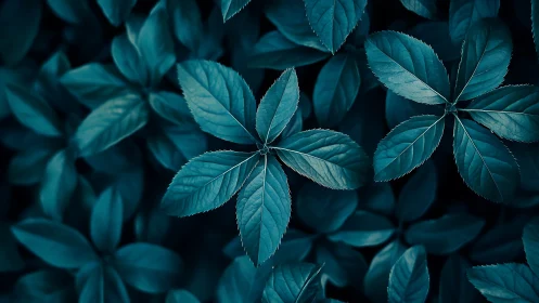 Midnight teal leaves in a quiet forest daydream.