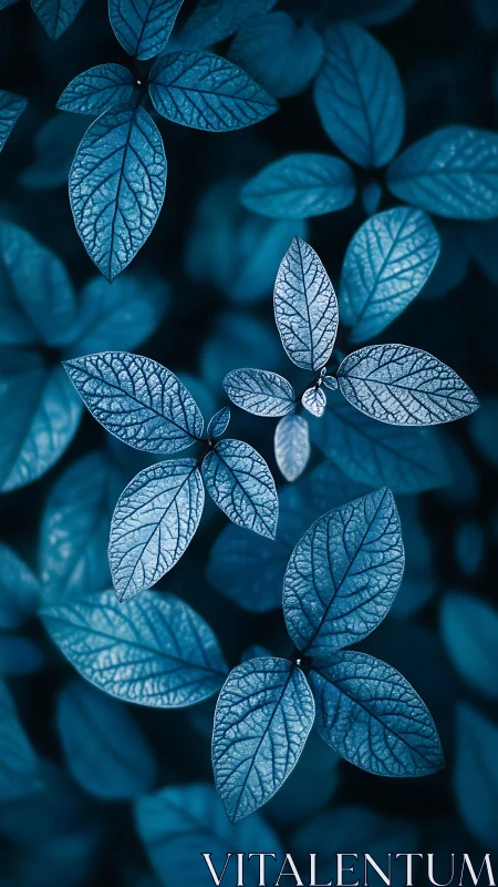 High-contrast macro study of blue-toned foliage with detailed venation