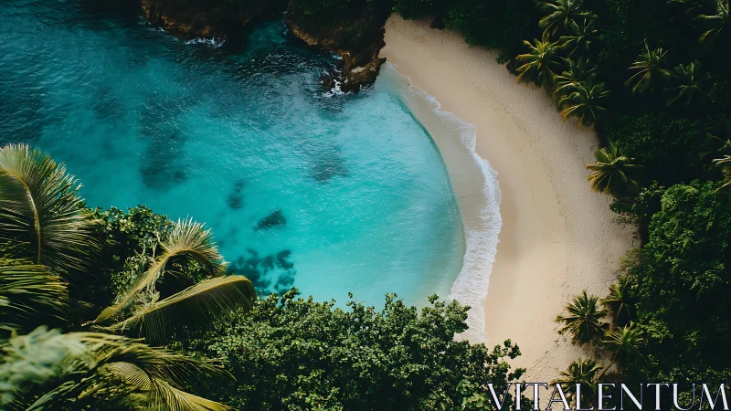 Aerial perspective of tropical coastline with curved sand beach adjacent to turquoise water and dens