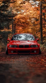 Red BMW sedan poised on autumn forest road at dusk.