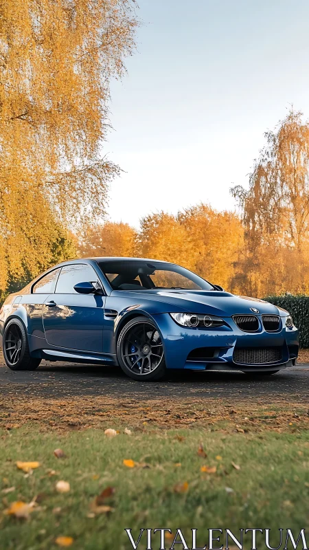 Blue BMW coupe parked on rural road in autumn landscape.