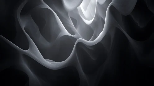 Monochrome abstract waves forming layered light paths.