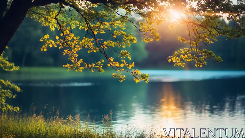 Sunlit lake hush beneath a canopy of whispering leaves.