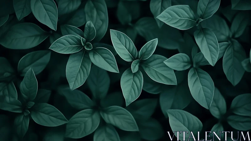 Dense green foliage fills frame under soft directional light