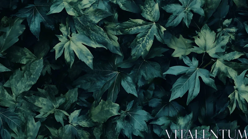 Midnight garden leaves wrapped in quiet forest hush.