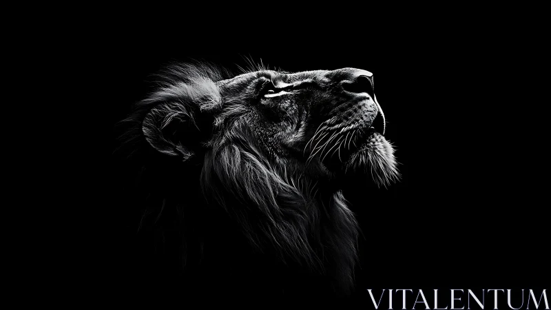 High contrast monochrome lion profile in directional rim light.