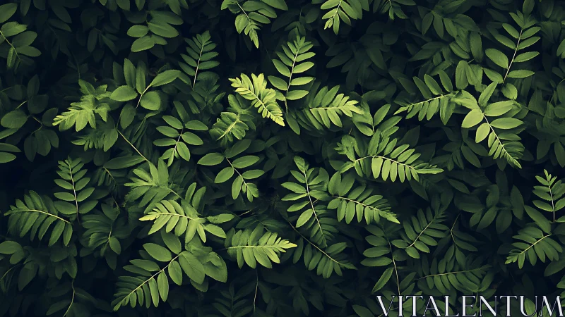 Gentle green fern leaves weaving a soothing forest pattern.