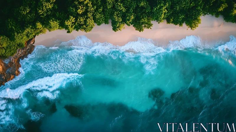 Emerald treeline meets turquoise surf in aerial shoreline ballet.