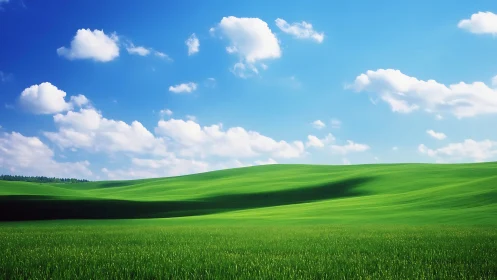 Photorealistic rolling meadow under expansive summer sky.