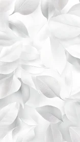 Soft white leaves drifting in a calm, airy daydream.