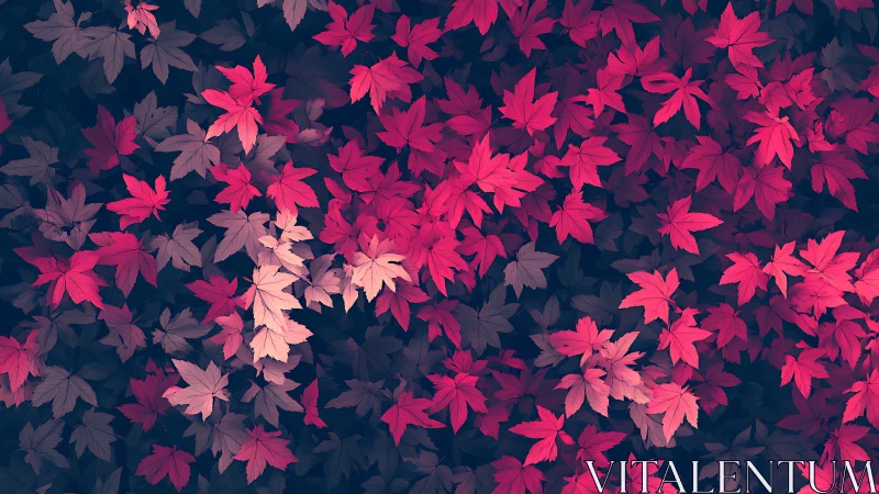 Crimson maple foliage pattern with muted midnight backdrop.