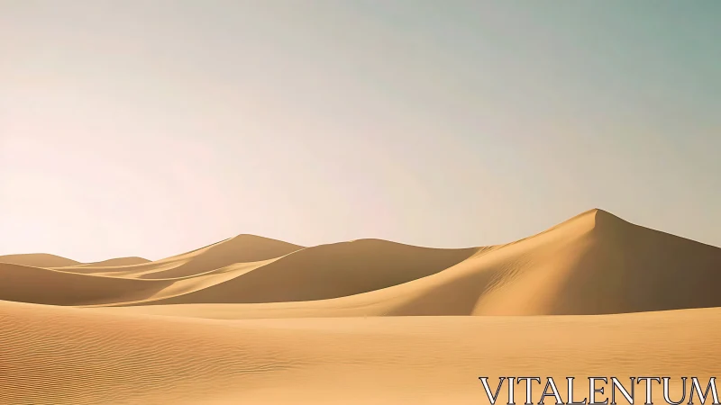 Sunlit desert sand dunes under clear pale sky horizon.