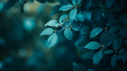 Nocturnal teal foliage with shallow-depth photographic focus.