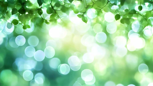 Sunlit Green Leaves with Abstract Bokeh Background, Soft Focus.
