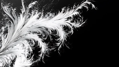 Monochrome high-contrast feathered fractal plume on black ground