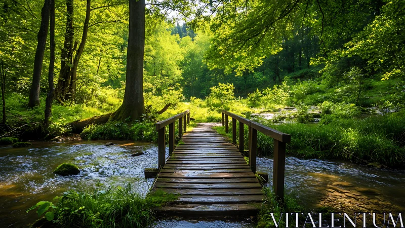 Wooden footbridge over forest stream in vibrant morning light.