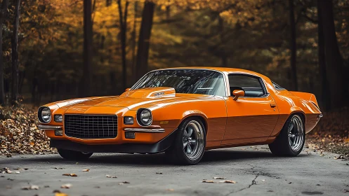 Sunlit orange muscle prowls quietly through autumn silence