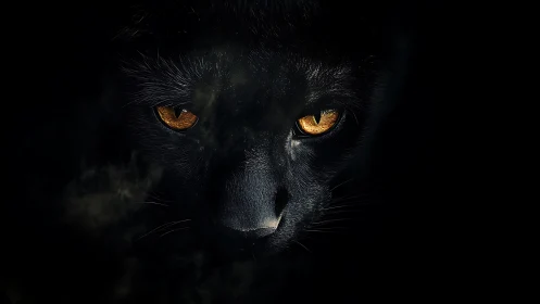 Low-key photorealistic panther portrait with golden eyes.