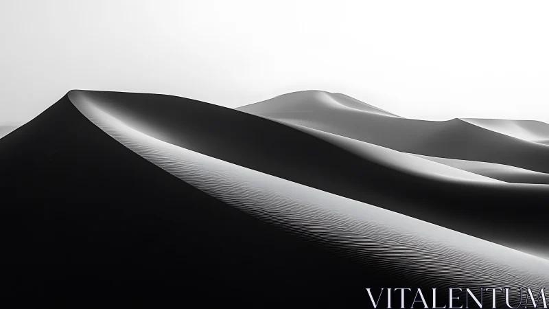 Sweeping monochrome dunes under hard high-contrast light.