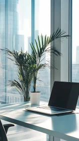 Laptop on office desk near potted palm by window wall.