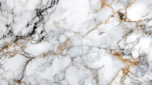 White marble surface with gold and black veining details.