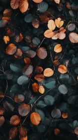 Autumn leaves scatter across deep teal forest shadows.