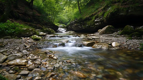 Mountain stream with mossy rocks under verdant canopy.