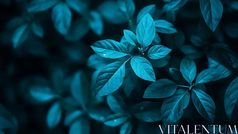 Cyan-toned botanical foliage study with shallow depth of field.