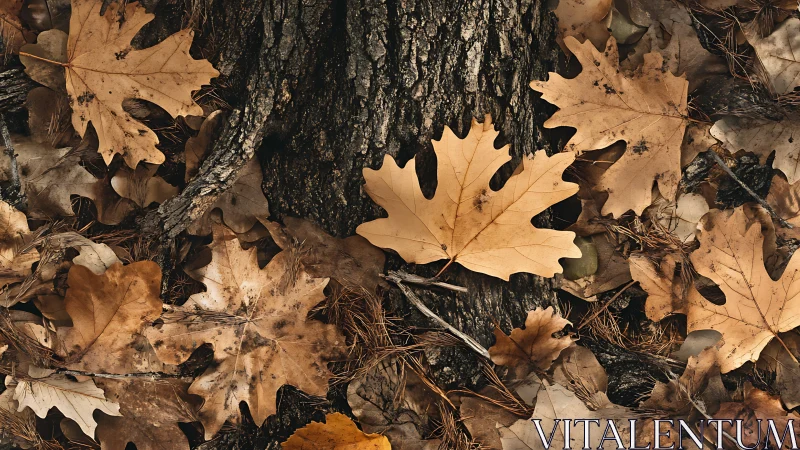 Photorealistic oak leaf carpet at tree base, warm-toned study.